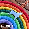 RIP Rainbow Bridge Tribute Labrador
